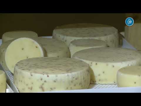 Сыроварня может предложить гурманам широкий выбор, на каждый вид найдется свой потребитель