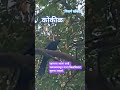 #birdwatching #bi bird lovers#nature #new