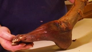 10 Strangest Things Found In Storage Units