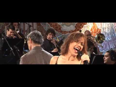 Down Here On The Ground - Sueño Inmaterial