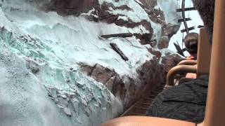 Animal Kingdom: Expedition Everest (2011)