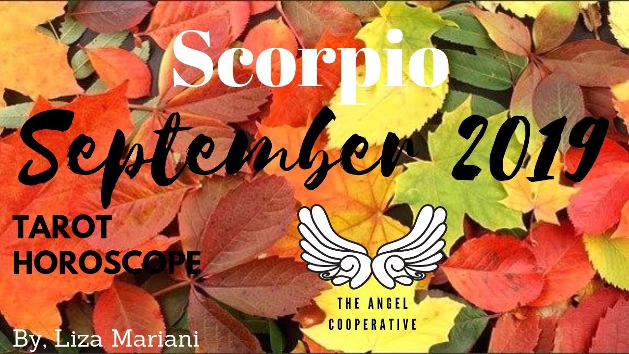 SCORPIO September 2019 - Assessing what is important and miscommunications
