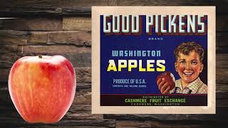 The History of WA Apples