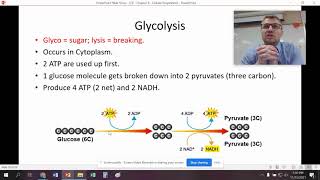 Bio - Chapter 9 - Cellular Respiration Wealth