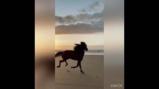 Yoksa Unuttun Mu Beni … ?