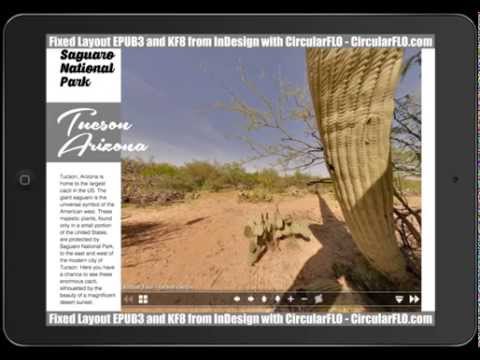 Adding Web Code into fixed layout EPUB3 with CircularFLO