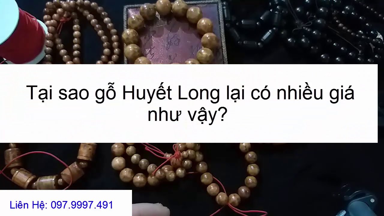 Huyết Rồng Đưa Bạn Vào Thế Giới Bí Ẩn Của Thiên Nhiên