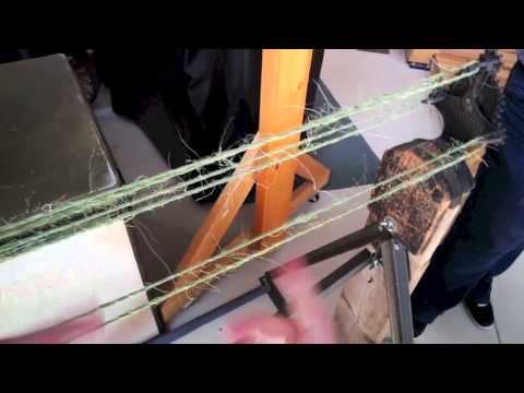 STEMbite: DNA Folding