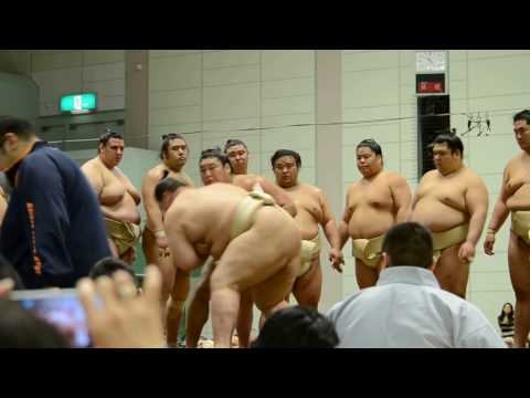 大相撲横須賀場所5