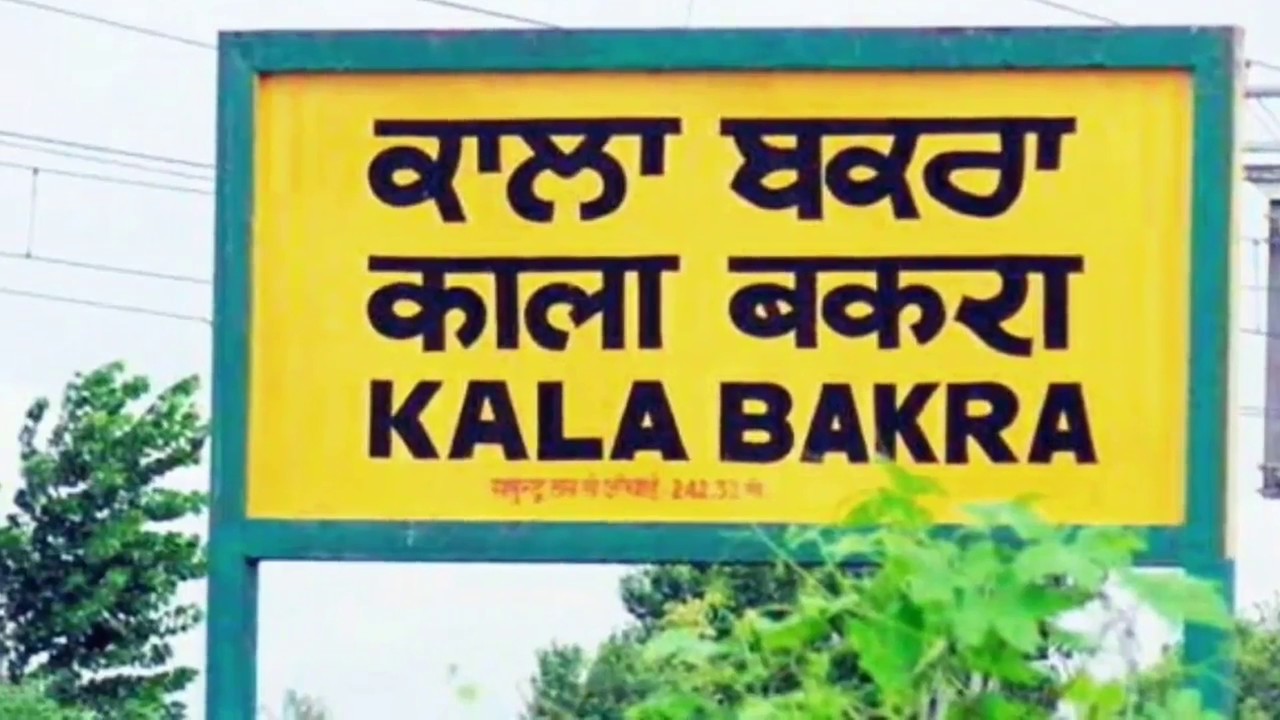 comedy comedy whatsapp comedy whatsapp status video whatsapp