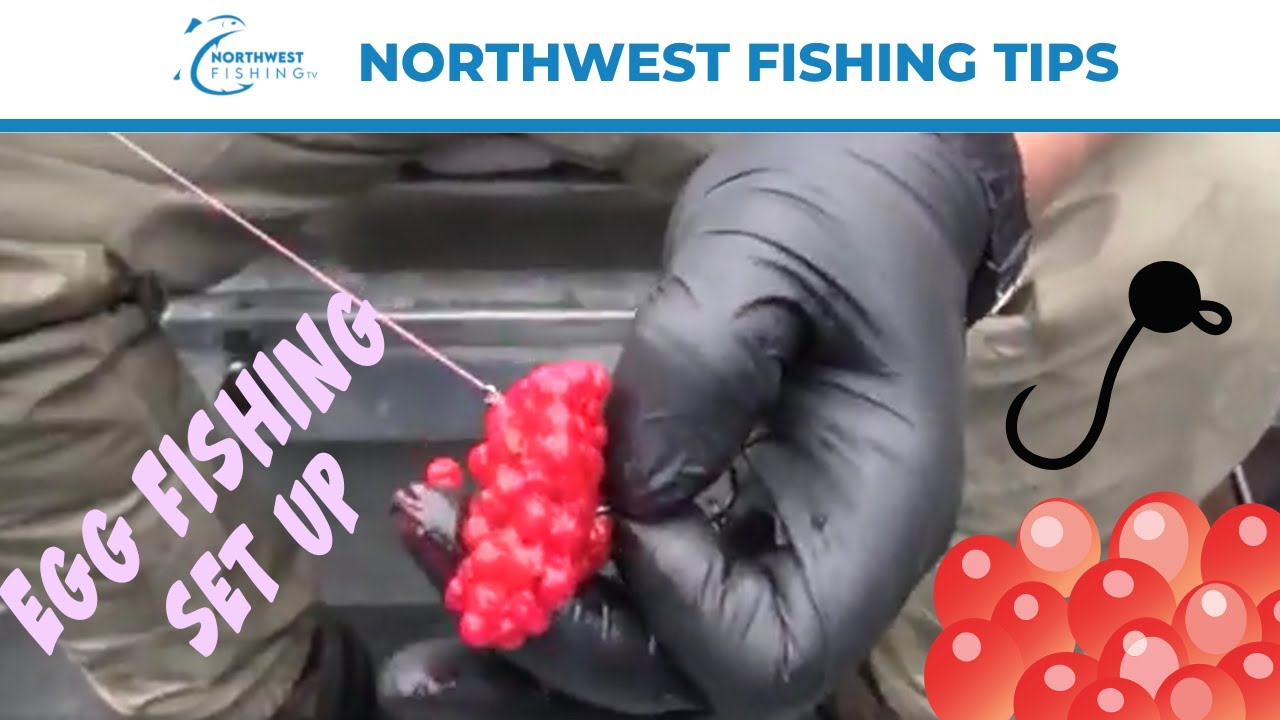 Fall Chinook Egg Fishing Setups 