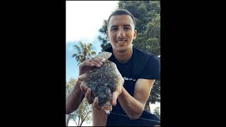 Fishing with Ari-Narrabeen