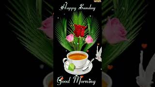 happy sunday good morning Profile