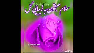 ۲۷ اوت ۲۰۲۱