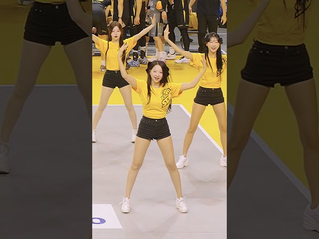 KB스타즈배구 이연진 치어리더 공연