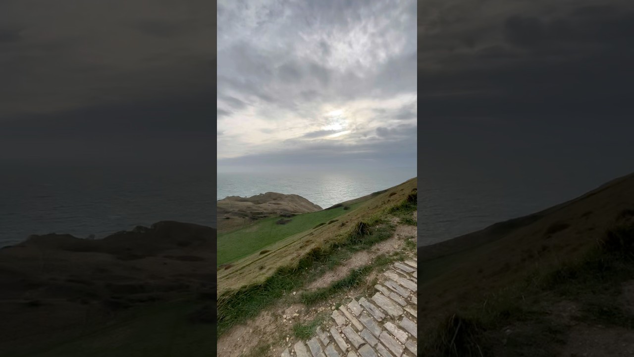 Кустарник барбариса (род Berberis) в бухте Лулворт, Великобритания 🇬🇧 