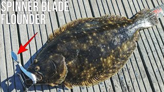 BIG FLUKE LIMITS + Bonus Catch and Cook! Flounder Fishing 2024