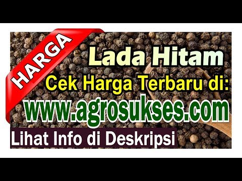 Harga Lada Hitam 2023