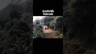 Jawadhu hills natural#jawadhuhills#jawadhulife#javadu#tamilvlog#villagelife#tamilshorts#naturetamil