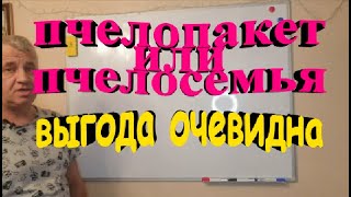 Пчелопакет или пчелосемья  Что выгоднее при покупке