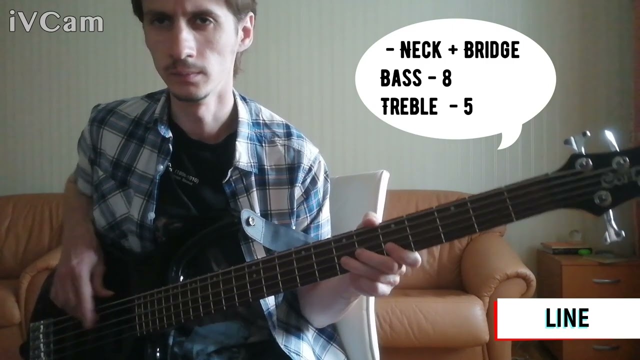 Обзор CORT ACTION BASS V PLUS. Бюджетный 5-струнный активный бас.