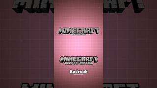Minecraft Ki Most CURSED Seed 💀 | MisterZyn #shorts
