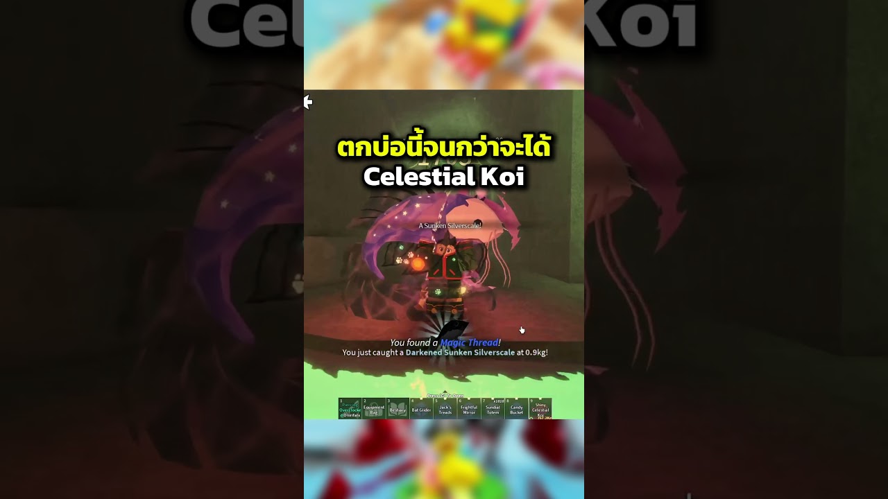 How to catch the "Celestial Koi" for New Rod! 