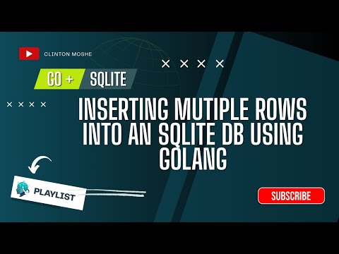4.0 Go-SQLite: inserting multiple rows into SQLite Database using Golang