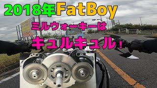 Harley FatBoy ミルウォーキーエイトはキュルキュル音が特徴！