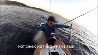 How to catch Queen Mackerel aka Natal Snoek - Halco Twisty - Weapon of choice