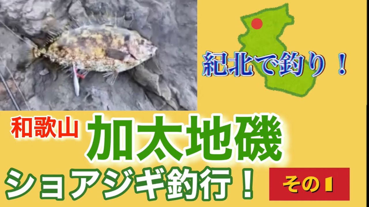和歌山加太周辺の地磯でライトショアジギング釣行 Youtube