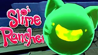 All Rad Slime Largos - Slime Rancher