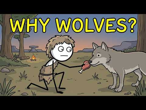 Why Did Wolves Choose Humans?