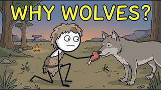 Why Did Wolves Choose Humans