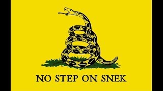 Ganzo Firebird Fh31 1St Look