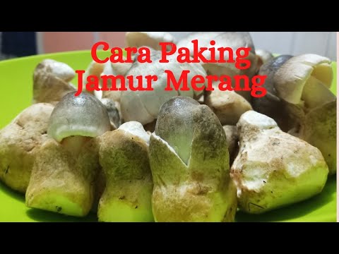Cara Menyimpan Jamur Barat Agar Tahan Lama