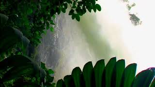 Download Lagu My Sweet Indian Child MP3