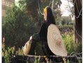 واهني الذي ماعذب الحب قلبه