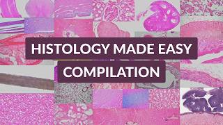 Histology Made Easy | Complete Beginner Compilation