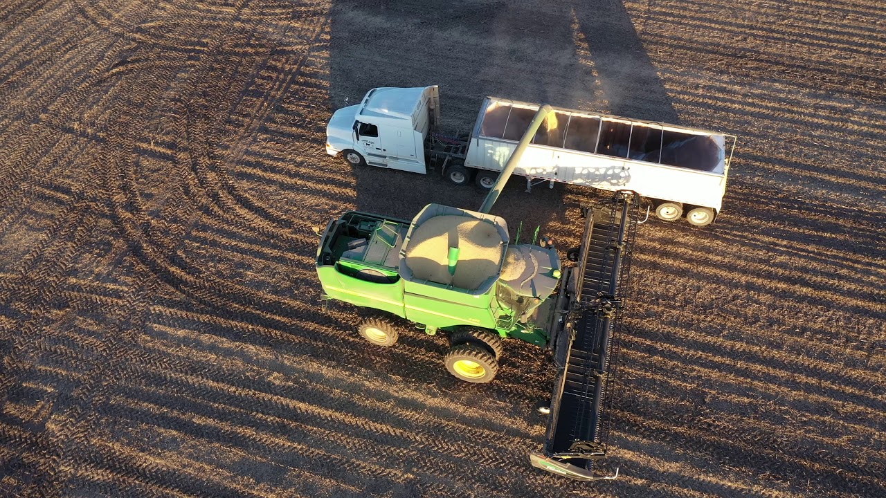 Soybean harvest near Burns, Kansas YouTube