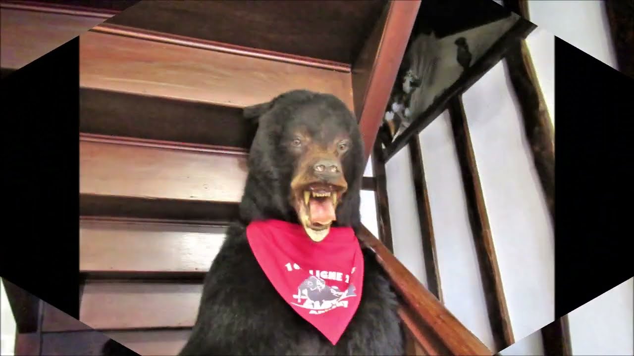 Aussurucq : Balade sur le plateau  d'Ahusquy - 01.11.2022