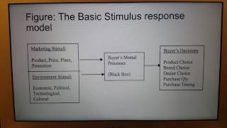 Consumer Behavior Assignment
