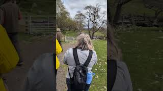 Trip to a sheep farm in Scotland - 5/8/2026