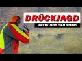 Drückjagd #2 Erstes Mal vom Stand im JJ 2021/22