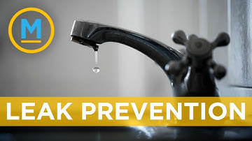 This water-saving robot detects leaks before they happen | Your Morning