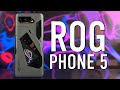 Неделя с ASUS ROG Phone 5. Бескомпромиссная мощь!