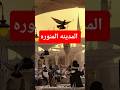 عليه افضل الصلاة والسلام انشودة علي المدينة تشتاق قلوبنا للمدينة المنورة