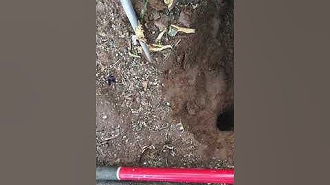 Pocket Gopher Experts, The Gopher Getters, since 1966