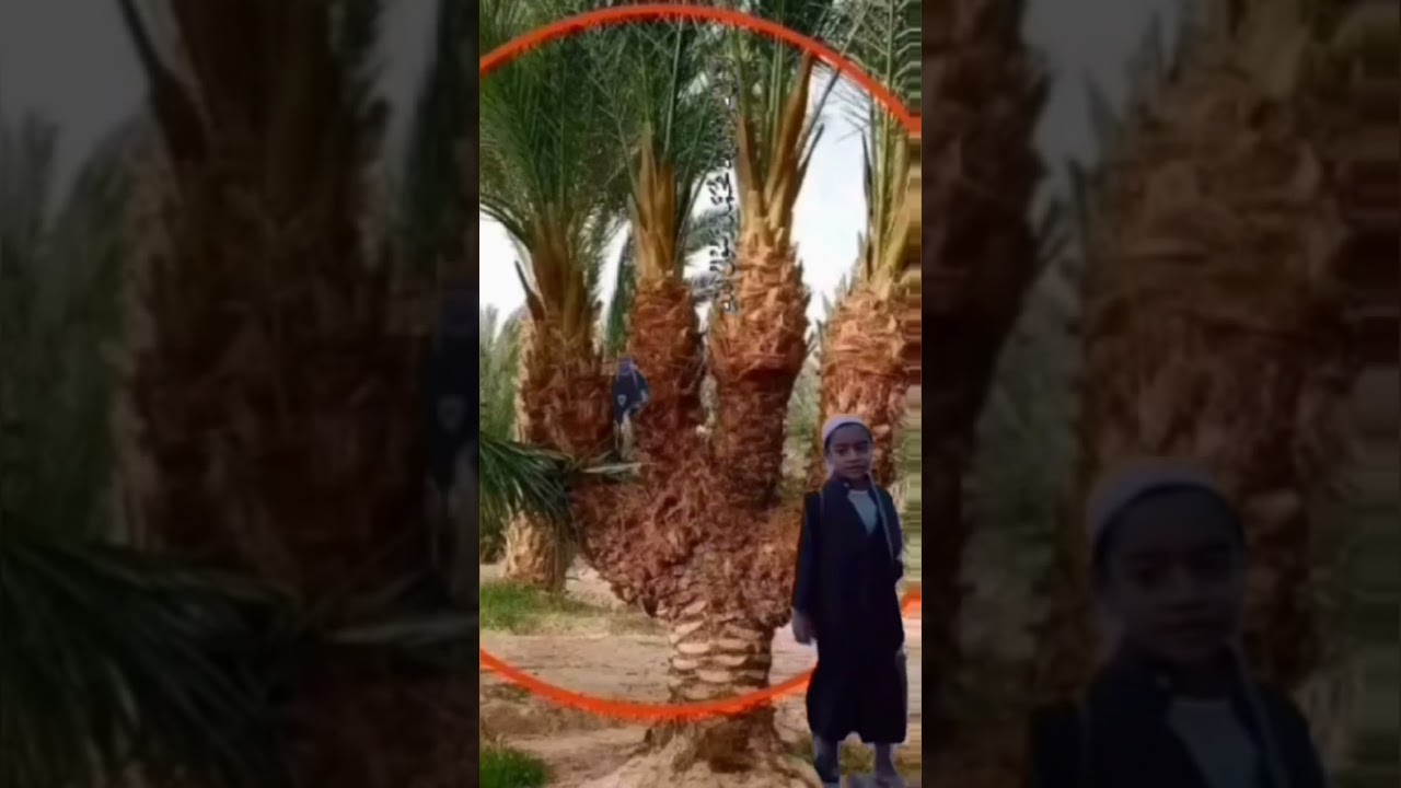 Allah Akber