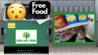 Dumpster Diving at Dollar Tree for Free Food with Subtitles S1E83